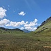 Das Hochmoor Wiegensee