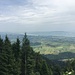 Der Zürichsee.