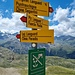 Im Abstieg noch ein kleiner Umweg zum Lej Languard