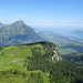 Blick über die Alp Engel zum Engelhorn