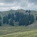 Mont Tendre im Zoom, von der Alpage aus.<br /><br /><br />