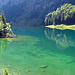 der idyllische Märchensee des Alpstein, der Seealpsee