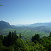 Aussicht von etwa 1000m über den Banwald ins Rheintal