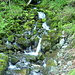 Ivelspusbach