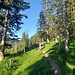 Aufstieg im lichten Wald, der neben Aussicht auch Schatten bot