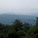 irgendwie tropisch angehaucht