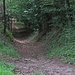 hohle Gasse