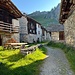 Grevasalvas