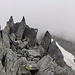 Sentiero bianco-blu-bianco che conduce sulla cima est del Witenwasserenstock