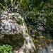 Einem hier oberhalb der tief eingeschnittenen Klamm angelegten Pfad folgen wir östlich und ...