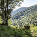 Auf dem Weiterweg, Blick nach Süden.