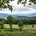 ...Hochweide an der Haute Bers. 