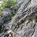 An der Cascade d'Alfeld.