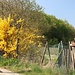 Abzweig