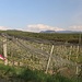 Rückweg