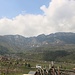 Mendelkamm