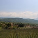 bei Kaltern