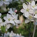 Frühling