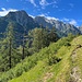 Aussicht ins Bergell