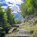 Letzter Aufstieg der Tour zu einem schönen Aussichtspunkt