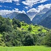 Unglaublich grüne Wiesen