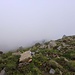 Antonio, fra ripidi pendii e nebbia