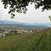 Überetsch