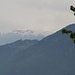 Schlern