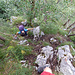 Bereits auf dem hochalpinen Wanderweg zur Bütziflue.