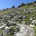 sul sentiero che porta su verso i tralicci