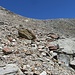 pietraia verso la cresta finale