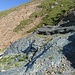 tutta la zona è caratterizzata da affioramenti rocciosi multicolore