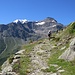La facilità del sentiero permette di camminare ammirando lo spettacolare panorama.
