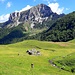 Dans la montée au Taljanka, seuls par un beau dimanche d'été