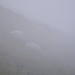 Schafe im Nebel auf 2000 m