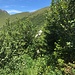 Jetzt geht es erstmals hier weiter
