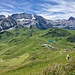 Kontrast-Programm: Hahnenmoos