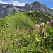 immer noch off-trail