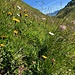 Irgendwo off-trail
