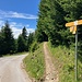 Mit Bushaltestelle !