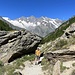 in ein sonniges Hochtal hinein im Zeichen der Mischabel