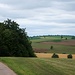 Sommertrails
