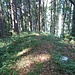 Kreuzwald