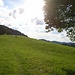 Auf dem Weg vom Säntisblick zum Risiwald
