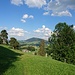 Toller Wiesentrail