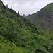 grünes Sperrbachtobel
