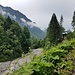 nun fast wieder in Spielmansau..