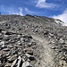Verso la cresta