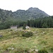 Superati velocemente una settantina di metri di dislivello in un bosco di conifere, si arriva finalmente alla piana erbosa dove sorge l’Alpe Scoggione (m 1575) dominata dai contrafforti del Monte Legnone.