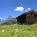 ab Recheten (ca. 2400 m) wird es dann nicht mehr so oft gesehen - ciao Matterhorn